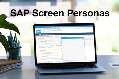 Better user guidance with SAP Screen Personas | IGZ